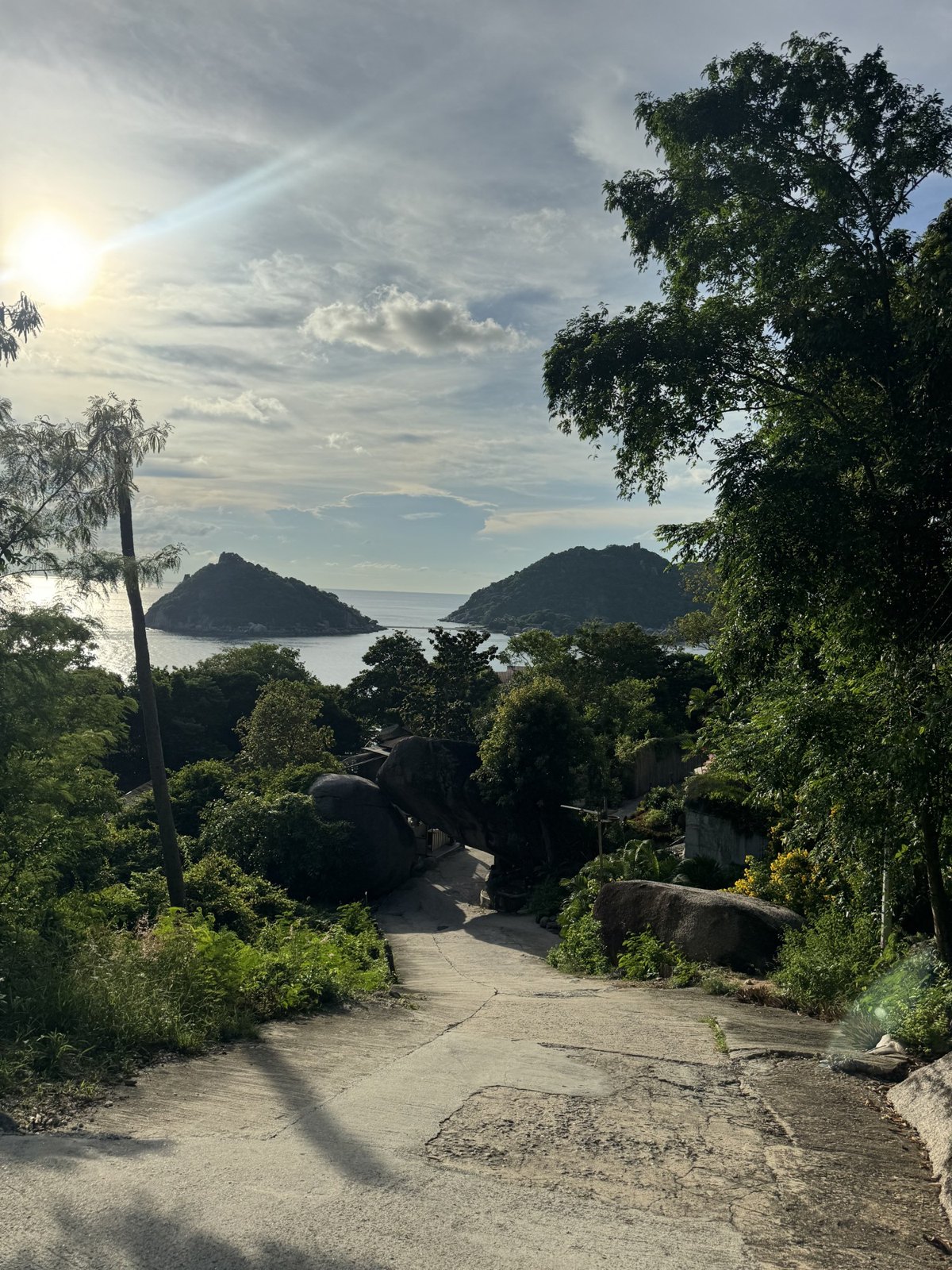 A road leading down to the sea